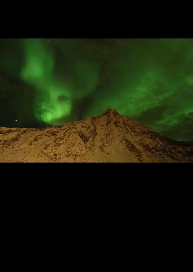 Senja Villa Gryllefjord Dış mekan fotoğraf